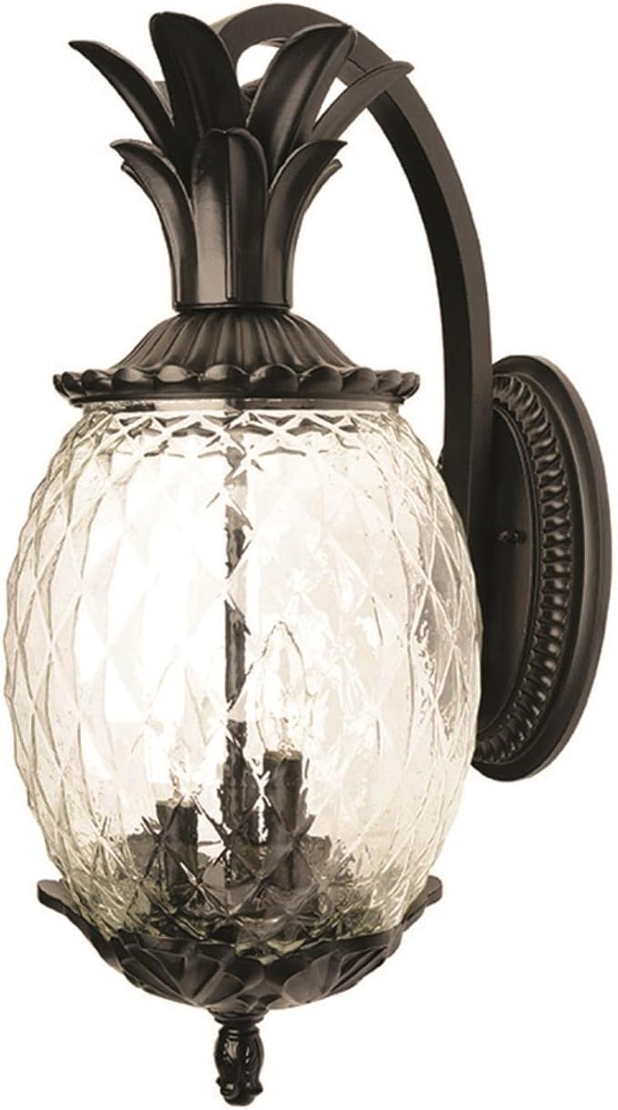 Acclaim 7502BK Lanai Collection 2-Light Wall Mount Outdoor Light Fixture, Matte Black