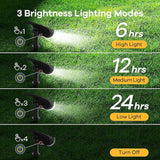 Linkind Solar Lights Outdoor Waterproof IP65, StarRay Dusk-to-Dawn Outdoor Solar Lights, 3 Lighting Modes Solar | Lumora