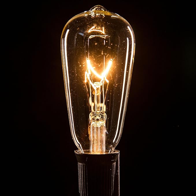 Hometown Evolution, Inc. Commercial Grade Vintage Edison Outdoor String Lights (ST40 Clear - Commercial Black Wire | Lumora