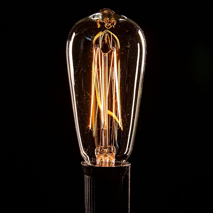 Hometown Evolution, Inc. Edison Bulb Outdoor String Lights with Hand-Threaded Filament (ST40 Lantern Edison - Black Wire, 50 ft)