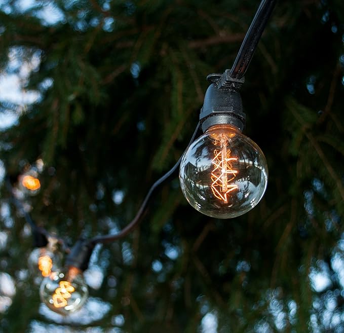 Hometown Evolution, Inc. Commercial Edison Bulb Outdoor String Lights with Hand-Threaded Filament (G50 Spiral Edison - Commercial Black Wire, 25 ft)