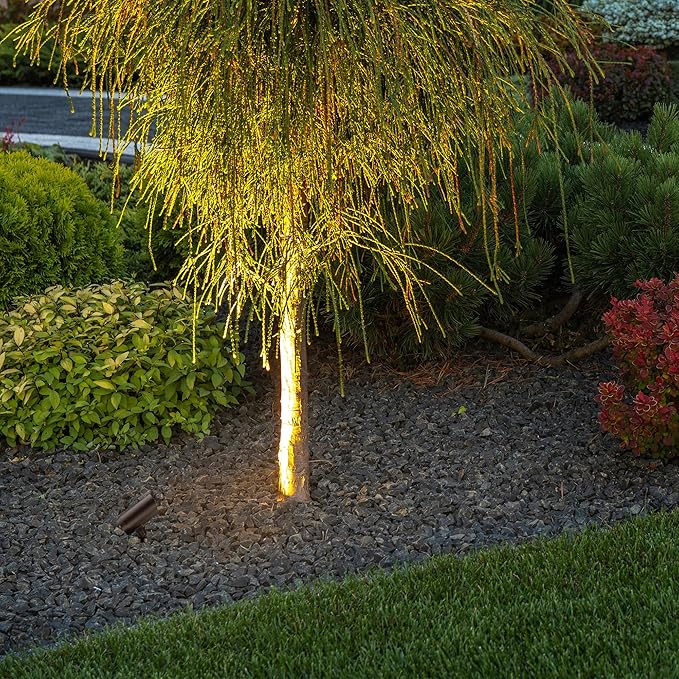 WAC Limited Landscape Lighting 12V Accent and Spot Light 60 Degree Wide Beam Angle with 5-CCT Selectable in Bronze