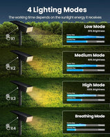 Koicaxy Solar Lights Outdoor Waterproof 8 Pack IP65, 100 LEDs 4 Light Modes, Higher Charging Efficiency, Auto | Lumora