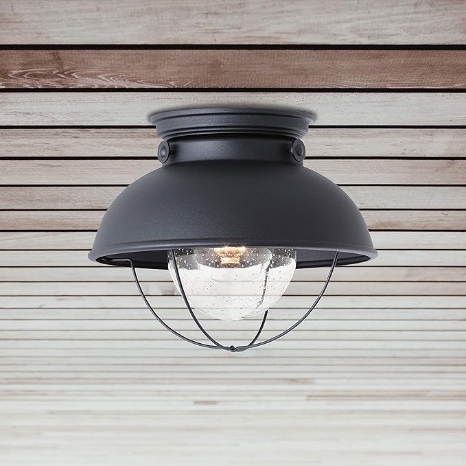 Sea Gull Lighting 8869-12 Sebring Transitional One - Light Outdoor Ceiling Flush Mount Outside Fixture, Black Finish