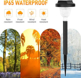 12 Packs Bright Solar Blue Lights and Solar Pathway Lights 10 Pack RGB Color Changing | Lumora