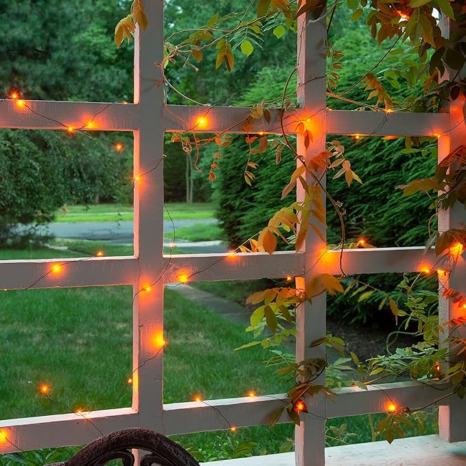 Orange Fairy Holiday String Lights, 33 ft / 10 m - 300 LED Orange Twinkle Firefly Lights for Indoor or Outdoor | Lumora
