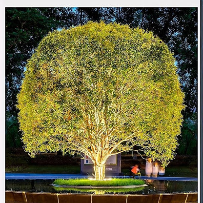 Outdoor Ring Tree Light - AC 24V Colored LED IP65 Waterproof Palm Tree Uplighting with Adjustable Tree Rings, Expandable Interlocking LED Uplighting or Downlight for Trees/Roman Columns(4 pack)