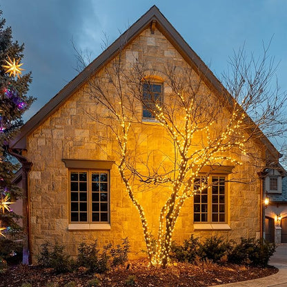 70 Warm White Wide Angle LED Mini Lights on Brown Wire – 24 Ft Commercial Grade Christmas String Lights, Full Wave No Flicker, Indoor/Outdoor UL Listed, Connect Up to 21 Sets