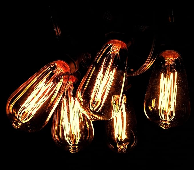 Hometown Evolution, Inc. Commercial Edison Bulb Outdoor String Lights with Hand-Threaded Filament (ST40 Lantern Edison - Commercial Black Wire, 25 ft)