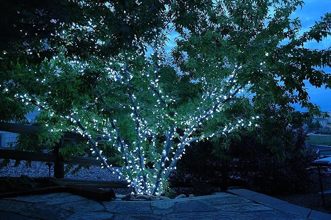 Novelty Lights 24FT 70 LED C6 LED Christmas String Lights, Outdoor Crystal Clear White Commercial Grade LED Lights | Lumora