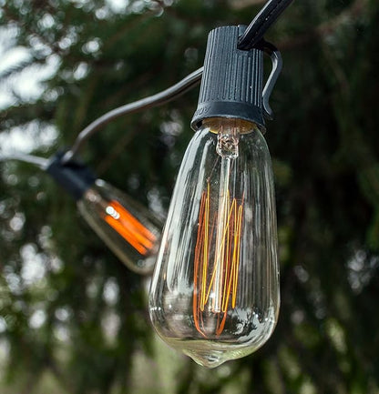 Hometown Evolution, Inc. Edison Bulb Outdoor String Lights with Hand-Threaded Filament (ST40 Lantern Edison - Black Wire, 10 ft)