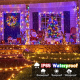 100FT 300 LED Color Changing Christmas Lights, Warm White & Multicolor Christmas Tree Lights with Remote | Lumora