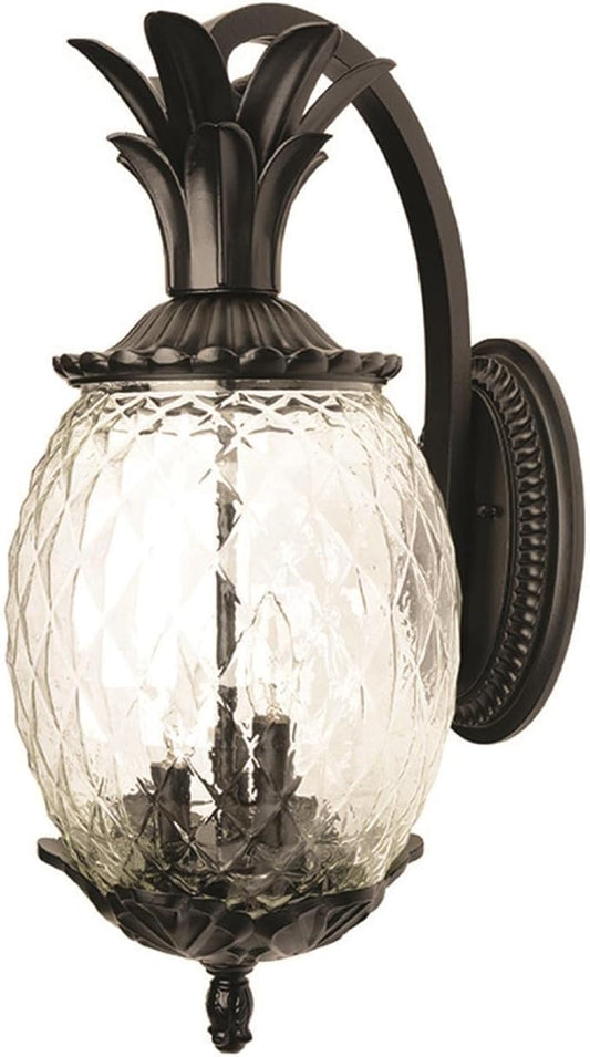 Acclaim 7512BK Lanai Collection 3-Light Wall Mount Outdoor Light Fixture, Matte Black