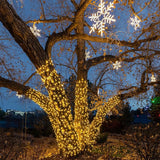 Novelty Lights 24FT 70 LED C6 Christmas String Lights, Outdoor Tree Commercial Grade LED Lights, Permanent | Lumora