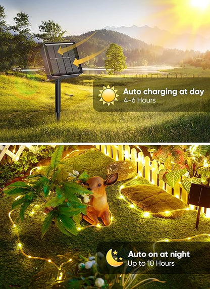 Brightown Solar Rope Lights Outdoor 2 Pack 39 Feet 100 Led Waterproof Solar Powered String Lights with 8 Lighting Modes,Copper Wire PVC Tube Lights for Garden Wedding Party DIY Decor (Warm White)
