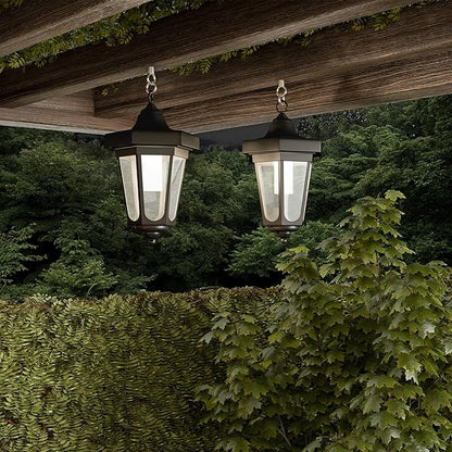 Set of 2 Solar Lanterns - Waterproof Hanging Coach LED Lights with Shepherd Hooks for Mounting - Garden Decor for Outside by Pure Garden (Black)