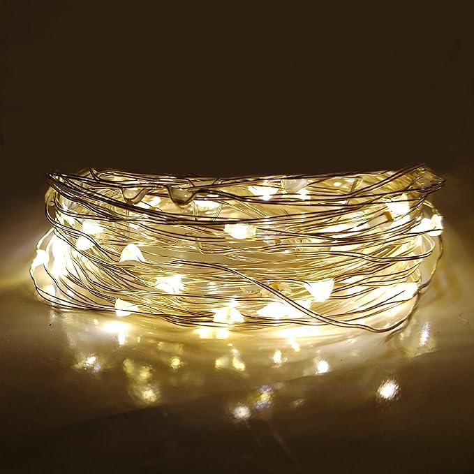 Hometown Evolution, Inc. Solar Powered Micro LED String Lights - 50 LED, 16.5 Feet - Warm White