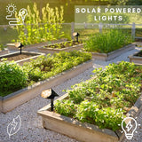 Solar Outdoor Lights, 4-Pack Super Bright LED Spotlights, Waterproof Garden Path Lights, Yard & Landscape Lighting | Lumora