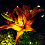 Hometown Evolution, Inc. Solar Powered Micro LED String Lights - 100 LED, 33 Feet - Warm White, 8 Modes, Outdoor | Lumora