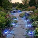 Solar Lights Outdoor,8 Pack Solar Garden Lights for Pathway,Yard,Deck,Lawn,Patio,Walkway,Driveway,Step（Blue） | Lumora