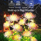 Solar Garden Lights, Solar Flowers Lights with Glowing Flowers & Stems, Solar Lights Outdoor for | Lumora