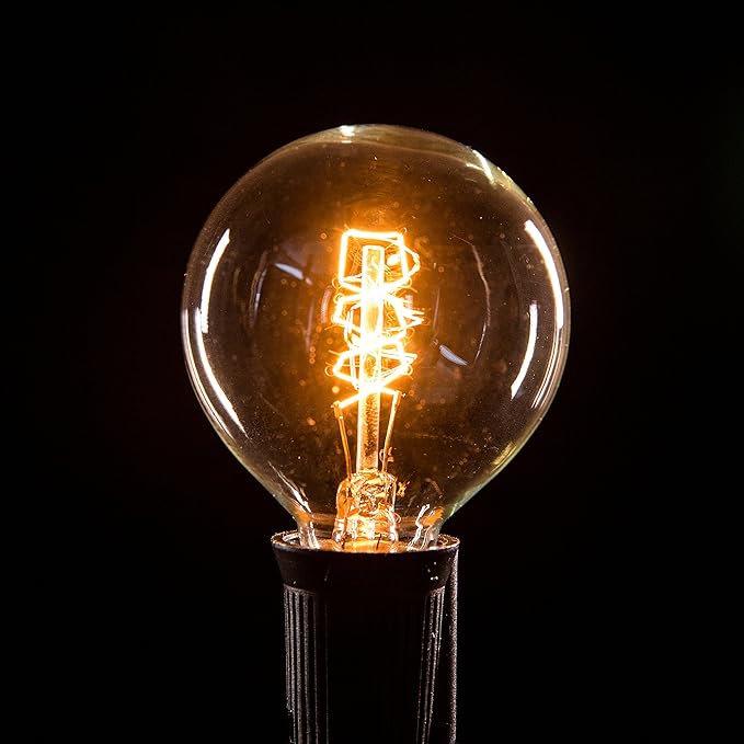Hometown Evolution, Inc. Commercial Edison Bulb Outdoor String Lights with Hand-Threaded Filament (G50 Spiral Edison - Commercial Black Wire, 25 ft)