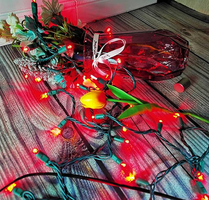 Christmas Lights 50 Red LED 17FT Mini LED String Lights, 120V UL, Green Wire Xmas Lights for Indoor & Outdoor Use, Holiday Party Decorations, Trees, Light Displays