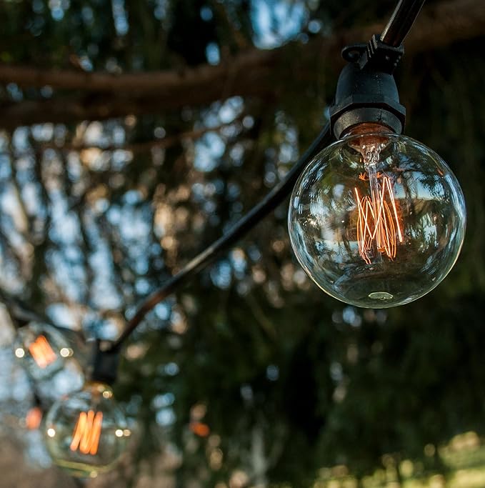 Hometown Evolution, Inc. Commercial Edison Bulb Outdoor String Lights with Hand-Threaded Filament (G60 Lantern Edison - Commercial Black Wire, 50 ft)