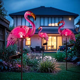 Solar Lights Outdoor,Flamingo Gifts for Women,Pink Flamingos for Yard Art Decor,Solar Metal Flamingo Lights | Lumora