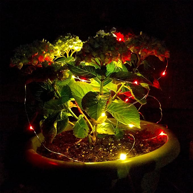Hometown Evolution, Inc. Solar Powered Micro LED String Lights - 100 LED, 33 Feet - Multi Colored, 8 Modes, Outdoor | Lumora