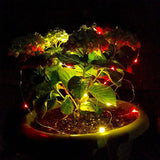 Hometown Evolution, Inc. Solar Powered Micro LED String Lights - 100 LED, 33 Feet - Multi Colored, 8 Modes, Outdoor | Lumora