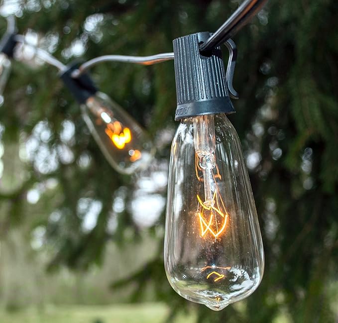 Hometown Evolution, Inc. Vintage Edison Outdoor String Lights (ST40 Clear - Black Wire, 10 ft) | Lumora