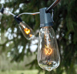Hometown Evolution, Inc. Vintage Edison Outdoor String Lights (ST40 Clear - Black Wire, 100 ft) | Lumora