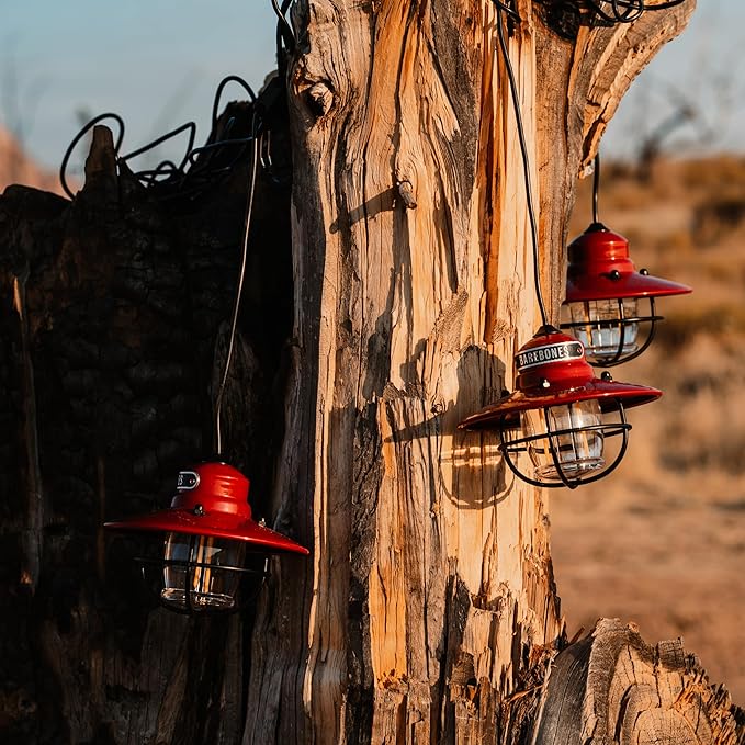 Barebones Edison Pendant String Lights - Red, 3 Edison-Style LED Bulbs with 10-Foot Cord, Energy-Efficient Outdoor Lanterns for Patio, Garden, or Indoor Decor
