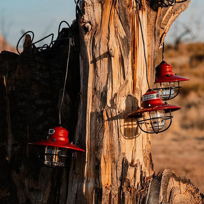 Barebones Edison Pendant String Lights - Red, 3 Edison-Style LED Bulbs with 10-Foot Cord, Energy-Efficient Outdoor Lanterns for Patio, Garden, or Indoor Decor