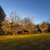Novelty Lights 500CT Case Faceted Ultra Bright Dimmable Outdoor Christmas Light Replacement Bulbs Decorative LED | Lumora