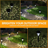 8 Packs Solar Ground Light& 10 Packs Solar Pathway Light | Lumora