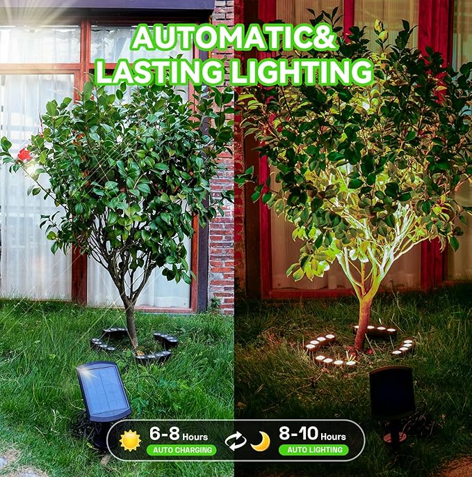Solar Palm Tree Ring Lights Outdoor, 3-in-1 Tie/Stake/Hang Installation, Warm White 50Lumen LED Tree Uplighting | Lumora