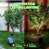 Solar Palm Tree Ring Lights Outdoor, 3-in-1 Tie/Stake/Hang Installation, Warm White 50Lumen LED Tree Uplighting | Lumora