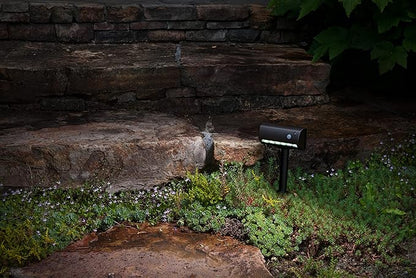 LIGHT IT! By Fulcrum, 20033-107 LED Garden and Path Light, Bronze, Single pack