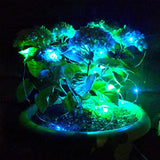 Hometown Evolution, Inc. Solar Powered Micro LED String Lights - 100 LED, 33 Feet - Multi Colored, 8 Modes, Outdoor | Lumora