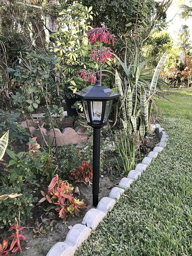 Solar Hexagon Wall Mount and Stakes Landscape Light with 6 Bright SMD White Color LED | Lumora