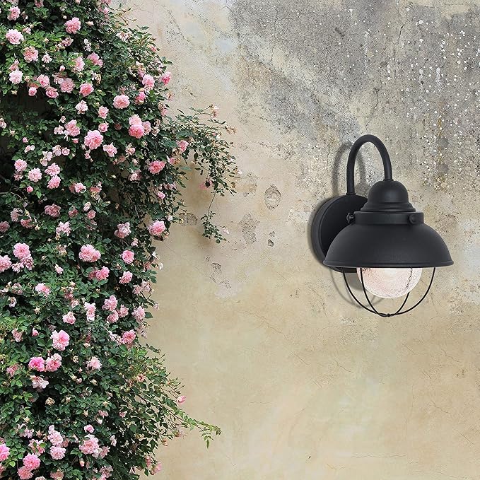 Sea Gull Lighting 8870-12 Sebring One-Light Outdoor Wall Lantern with Clear Seeded Glass Diffuser, Black Finish, 11.25'' Height