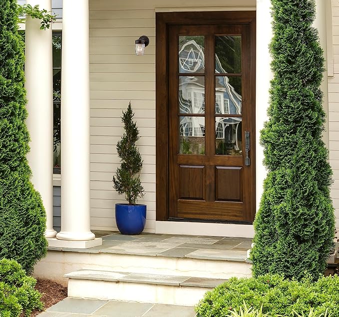 Westinghouse 6688200 One-Light Outdoor Jelly Jar Wall Fixture, Oil Rubbed Bronze Finish with Clear Ribbed Glass | Lumora