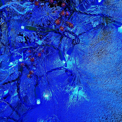 Christmas String Lights 50 Blue LED 5mm Mini LED String Lights, 120V UL, 17ft Green Wire Xmas Lights for Indoor & Outdoor Use, Holiday Party Decorations,Trees, Light Displays